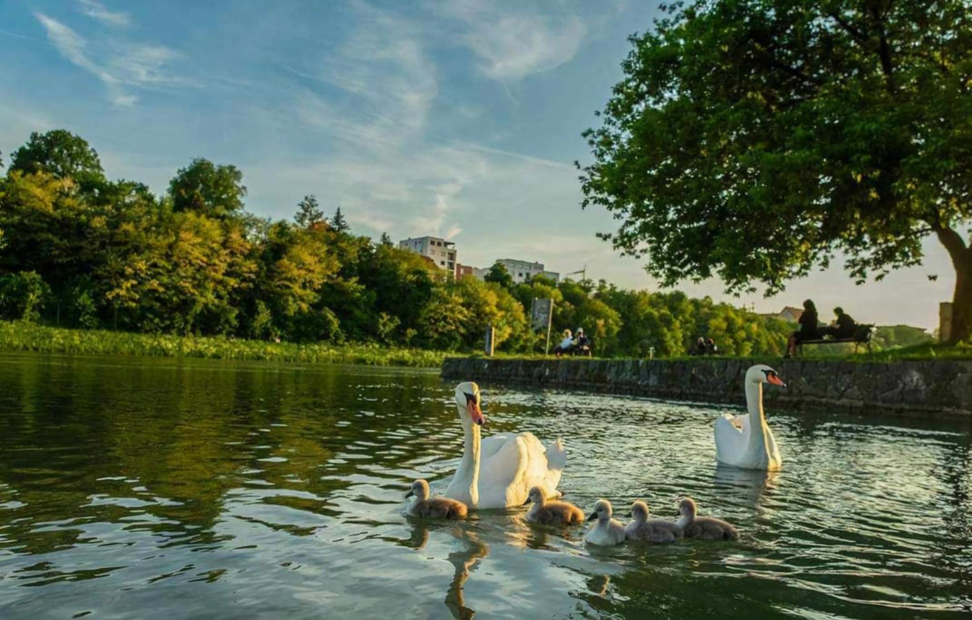 Apartment Dolce Vita Μαριμπόρ Εξωτερικό φωτογραφία