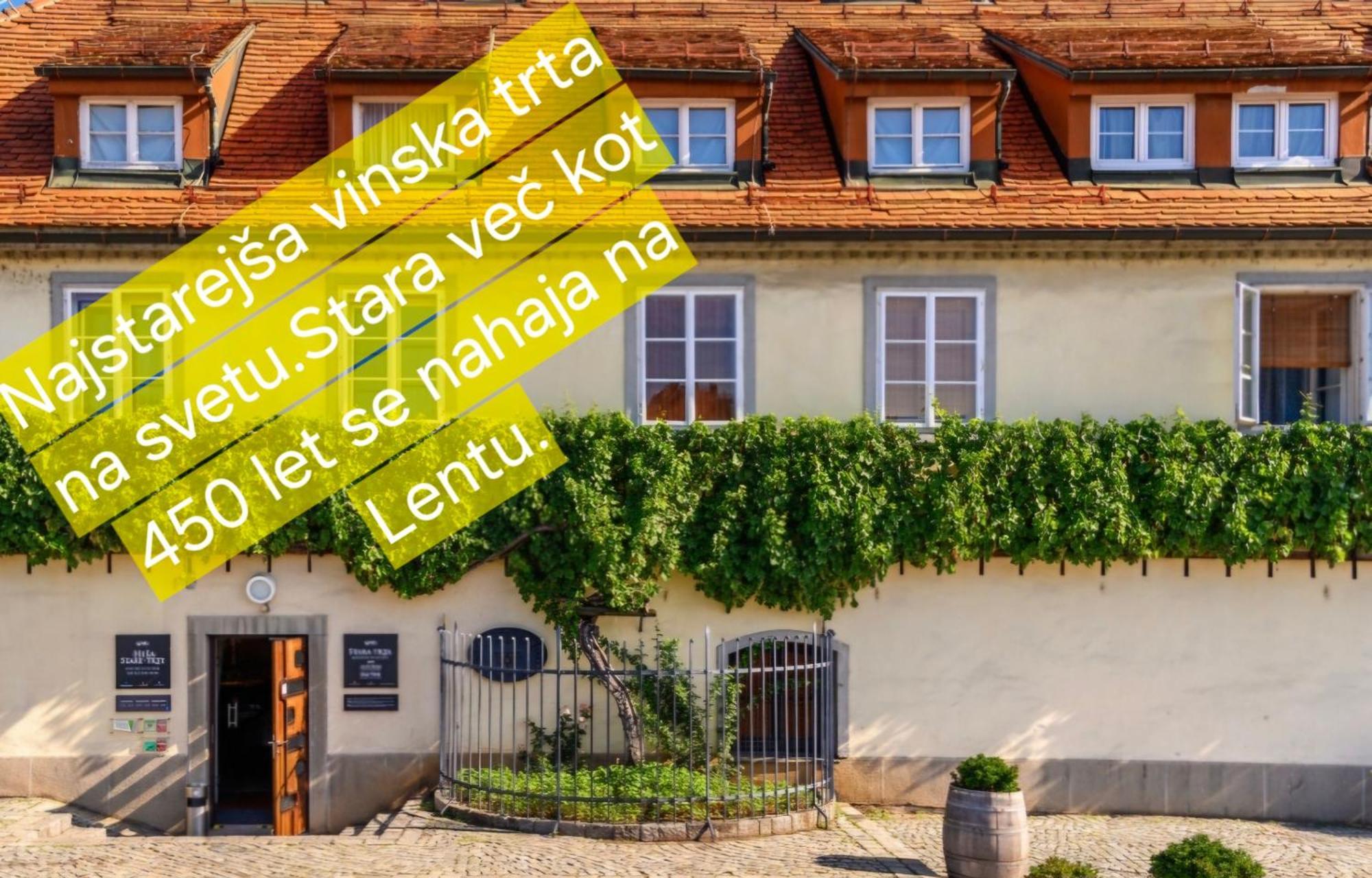 Apartment Dolce Vita Μαριμπόρ Εξωτερικό φωτογραφία